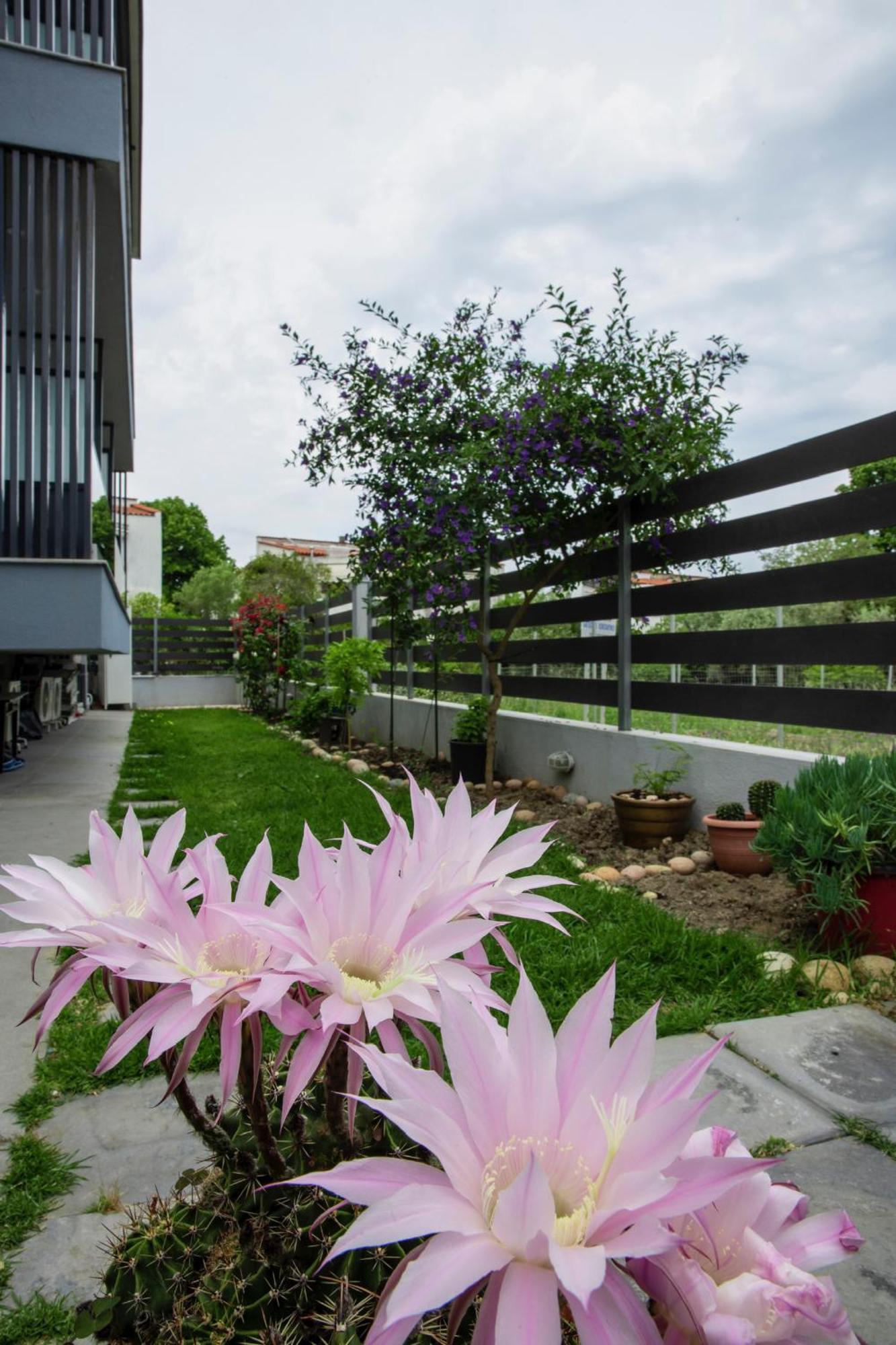 Artemida Suites 卡尼奥提 外观 照片